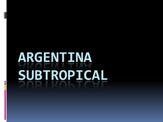 ARGENTINA
SUBTROPICAL
 