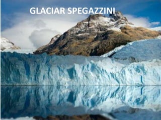 GLACIAR SPEGAZZINI

 