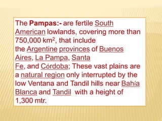 The Pampas:- are fertile South
American lowlands, covering more than
750,000 km2, that include
the Argentine provinces of Buenos
Aires, La Pampa, Santa
Fe, and Córdoba; These vast plains are
a natural region only interrupted by the
low Ventana and Tandil hills near Bahía
Blanca and Tandil with a height of
1,300 mtr.
 