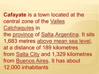 Cafayate is a town located at the
central zone of the Valles
Calchaquíes in
the province of Salta,Argentina. It sits
1,683 metres above mean sea level,
at a distance of 189 kilometres
from Salta City and 1,329 kilometres
from Buenos Aires. It has about
12,000 inhabitants
 