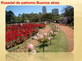 Rosedal de palremo Buenos aires
 