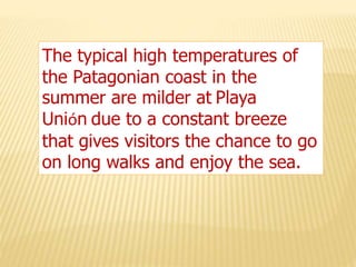 The typical high temperatures of
the Patagonian coast in the
summer are milder at Playa
Unión due to a constant breeze
that gives visitors the chance to go
on long walks and enjoy the sea.
 