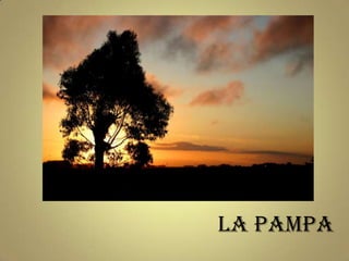 La Pampa
 
