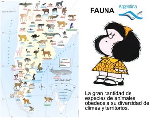 FAUNA
La gran cantidad de
especies de animales
obedece a su diversidad de
climas y territorios.
 