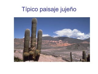 Típico paisaje jujeño 
