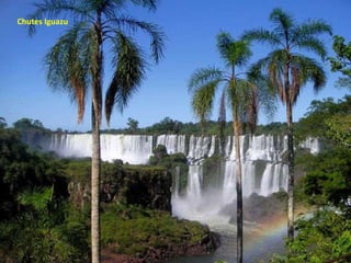 Chutes Iguazu 