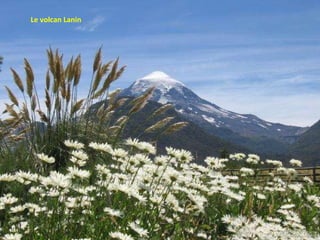 Le volcan Lanin 