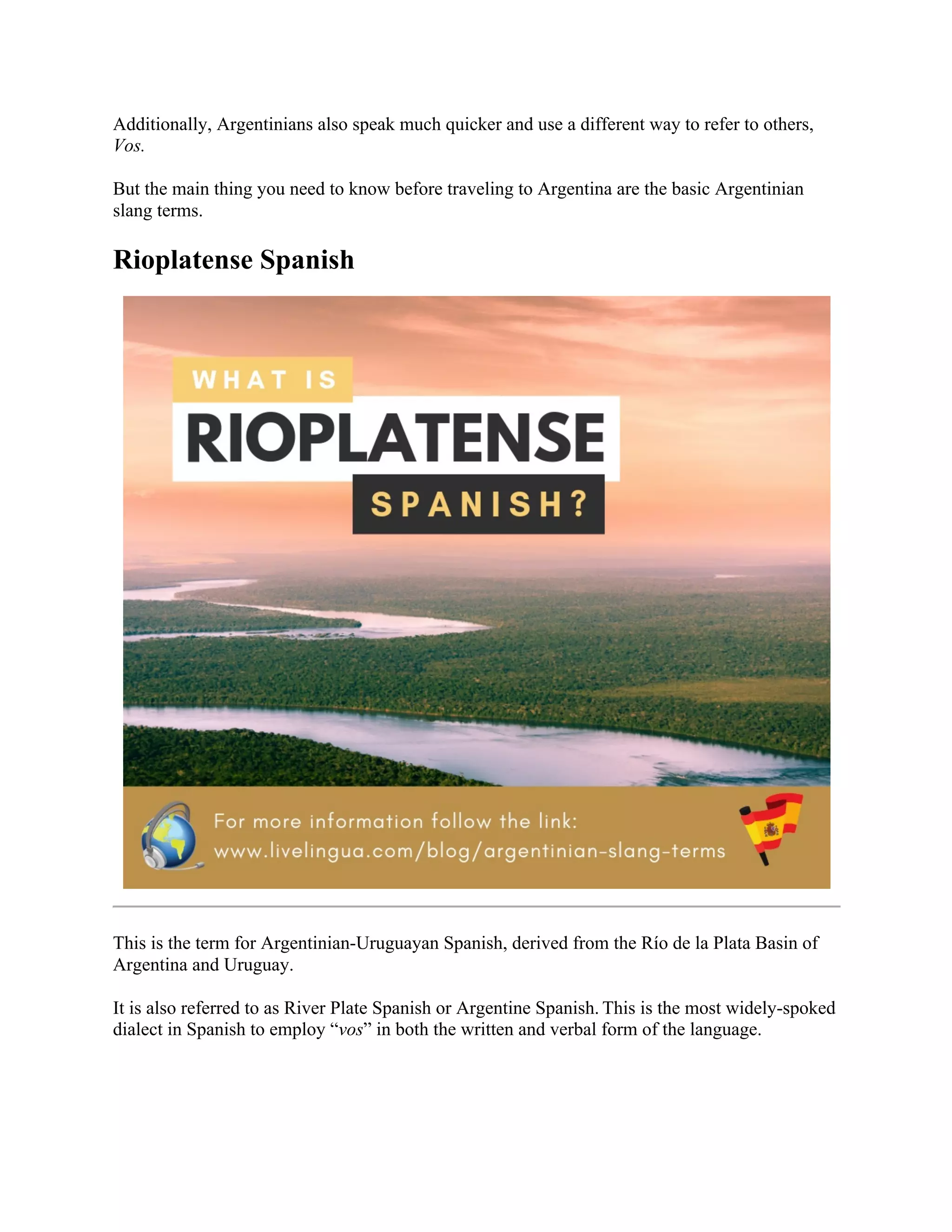 Argentinian Slang Terms | PDF