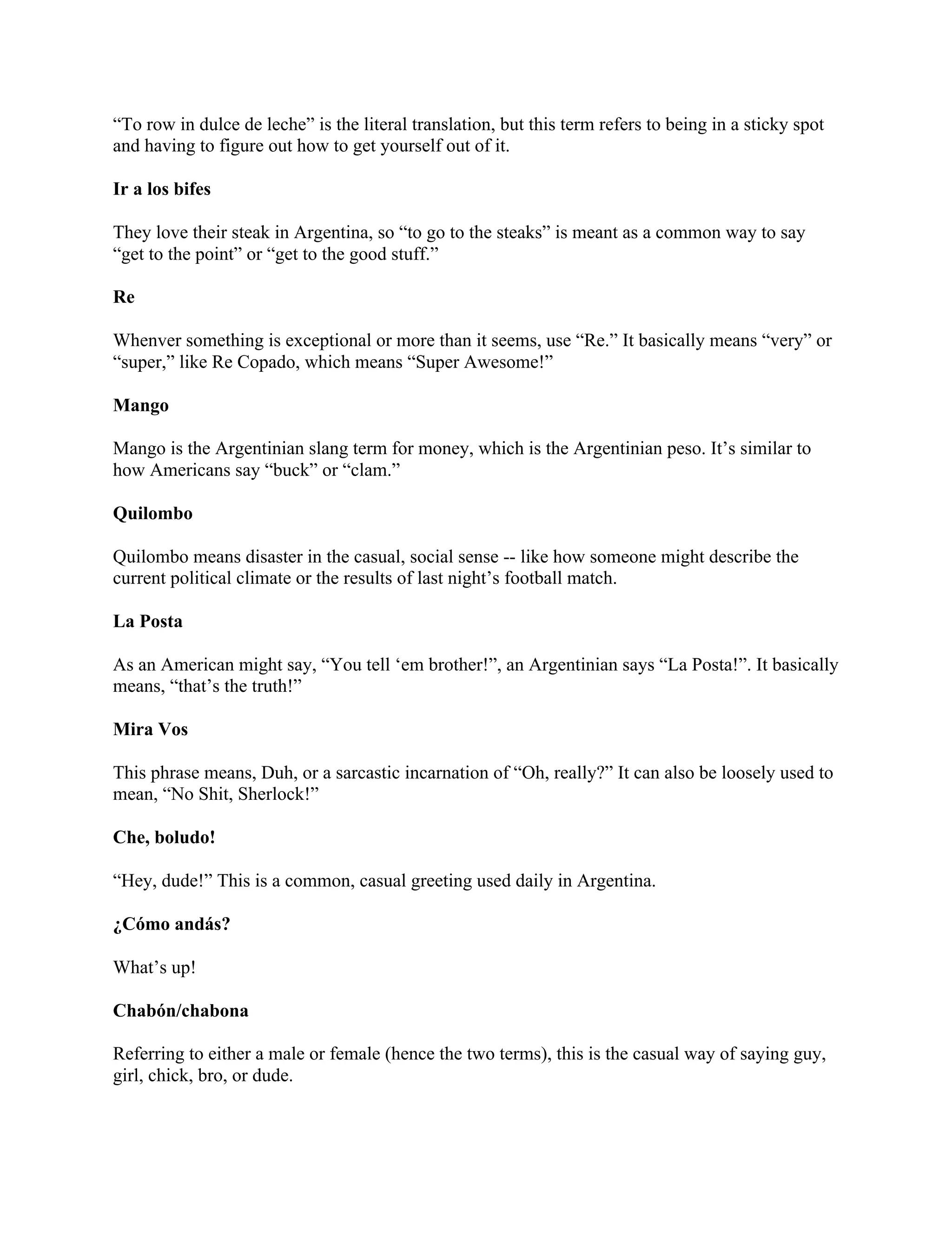 Argentinian Slang Terms | PDF