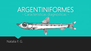 ARGENTINIFORMES
- Características diagnósticas -
Natalia F. G.
 