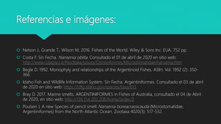 Referencias e imágenes:
 Nelson J., Grande T., Wilson M. 2016. Fishes of the World. Wiley & Sons Inc. EUA. 752 pp.
 Costa F. Sin Fecha. Nansenia oblita. Consultado el 01 de abril de 2020 en sitio web:
http://www.colapisci.it/PescItalia/pisces/Osmeriformes/Microstomatidae/nansenia.htm
 Begle D. 1992. Monophyly and relationships of the Argentinoid Fishes. ASIH. Vol. 1992 (2): 350-
366.
 Idaho Fish and Wildlife Information System. Sin Fecha. Argentiniformes. Consultado el 03 de abril
de 2020 en sitio web: https://idfg.idaho.gov/species/taxa/613
 Bray D. 2017. Marine smelts, ARGENTINIFORMES in Fishes of Australia, consultado el 04 de Abril
de 2020, en sitio web: http://136.154.202.208/home/order/3
 Poulsen J. A new Species of pencil smelt Nansenia boreacrassicauda (Microstomatidae,
Argentiniformes) from the North Atlantic Ocean. Zootaxa 4020(3): 517-532.
 