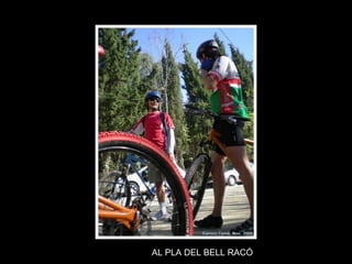 AL PLA DEL BELL RACÓ 