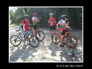 AL PLA DEL BELL RACÓ 