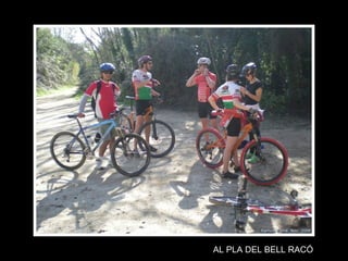 AL PLA DEL BELL RACÓ 