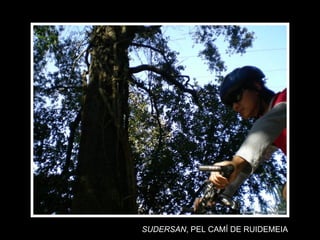 SUDERSAN , PEL CAMÍ DE RUIDEMEIA 