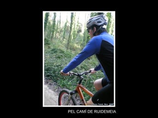 PEL CAMÍ DE RUIDEMEIA 