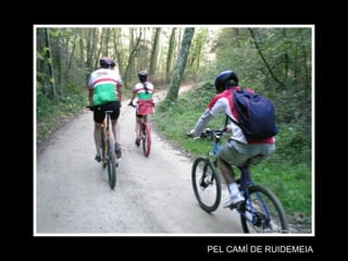 PEL CAMÍ DE RUIDEMEIA 