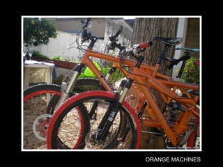 ORANGE MACHINES 