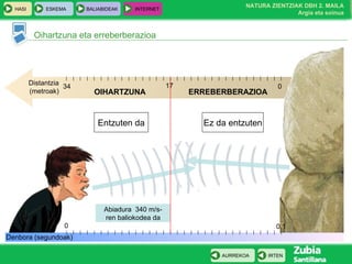 Oihartzuna eta erreberberazioa Distantzia (metroak) 0 0,1 34 0 Denbora (segundoak) 17 Abiadura  340 m/s-ren baliokodea da OIHARTZUNA ERREBERBERAZIOA Entzuten da Ez da entzuten 