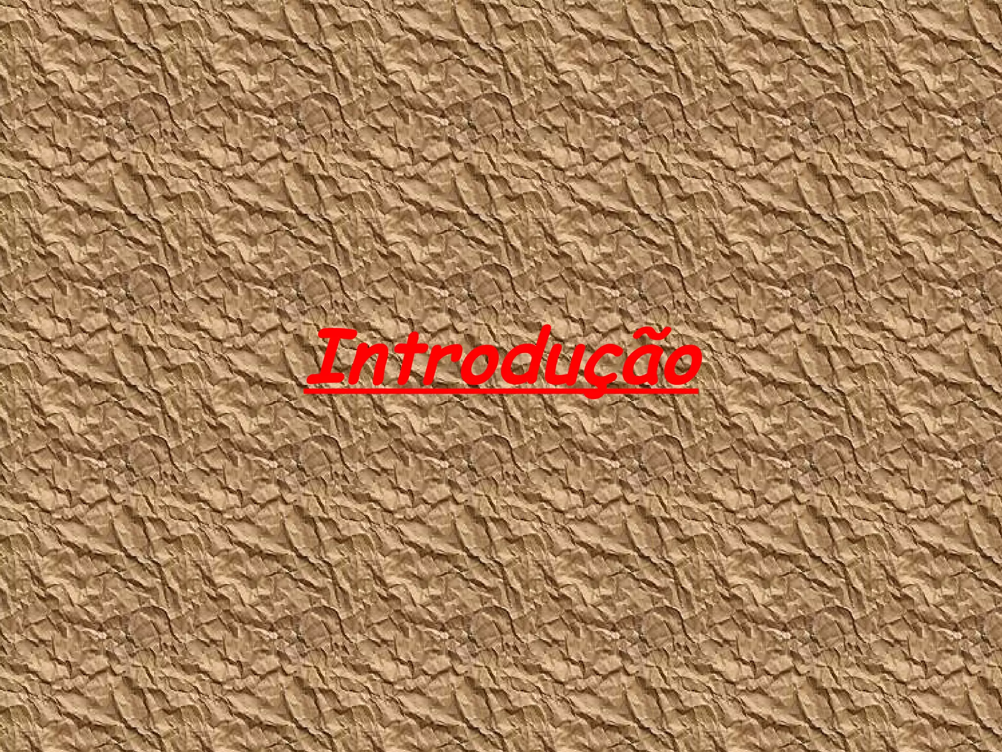 Introdução 