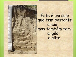 Este é um solo
que tem bastante
areia,
mas também tem
argila
e silte
 