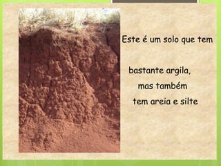 Este é um solo que tem
bastante argila,
mas também
tem areia e silte
 