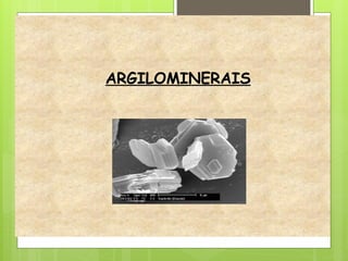 ARGILOMINERAIS
 