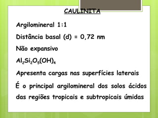 CAULINITA
Argilomineral 1:1
Distância basal (d) = 0,72 nm
Não expansivo
Al2Si2O5(OH)4
Apresenta cargas nas superfícies laterais
É o principal argilomineral dos solos ácidos
das regiões tropicais e subtropicais úmidas
 