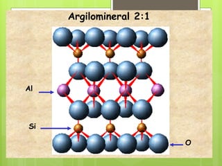 Argilomineral 2:1
Al
Si
O
 