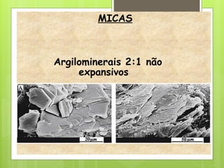 MICAS
Argilominerais 2:1 não
expansivos
 