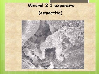 Mineral 2:1 expansivo
(esmectita)
 