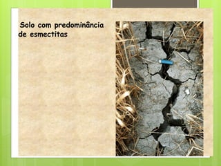 Solo com predominância
de esmectitas
 