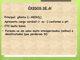 ÓXIDOS DE Al
• Principal: gibsita (g-Al(OH)3)
• Apresenta carga variável (+ ou -) conforme o pH
• CTC muito baixa
• Formam-se em solos muito intemperizados (velhos) e
dessilicatados (que perderam Si)
 