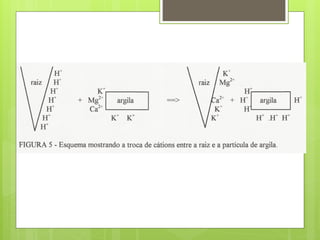 Composição do Solo - Argilominerais e Óxidos
