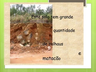 Este solo tem grande
quantidade
de calhaus
e
matacão
 