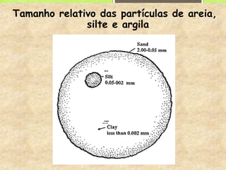 Tamanho relativo das partículas de areia,
silte e argila
Silte
Argila
Menos que
 