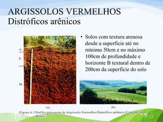 ARGISSOLOS VERMELHOS
Distróficos arênicos
• Solos com textura arenosa
desde a superfície até no
mínimo 50cm e no máximo
100cm de profundidade e
horizonte B textural dentro de
200cm da superfície do solo
 