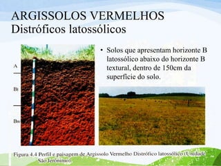 ARGISSOLOS VERMELHOS
Distróficos latossólicos
• Solos que apresentam horizonte B
latossólico abaixo do horizonte B
textural, dentro de 150cm da
superfície do solo.
 