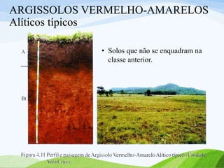 ARGISSOLOS VERMELHO-AMARELOS
Alíticos típicos
• Solos que não se enquadram na
classe anterior.
 