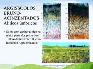 ARGISSOOLOS
BRUNO-
ACINZENTADOS
Alíticos úmbricos
• Solos com caráter alítico na
maior parte dos primeiros
100cm do horizonte B, com
horizonte A proeminente.
 