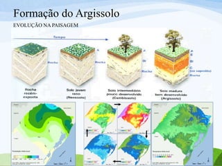 Formação do Argissolo
EVOLUÇÃO NA PAISAGEM
 