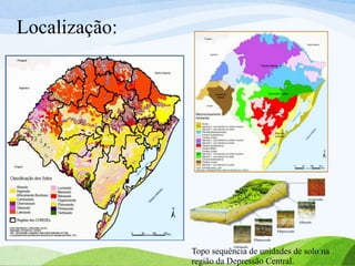 Localização:
Topo sequência de unidades de solo na
região da Depressão Central.
 