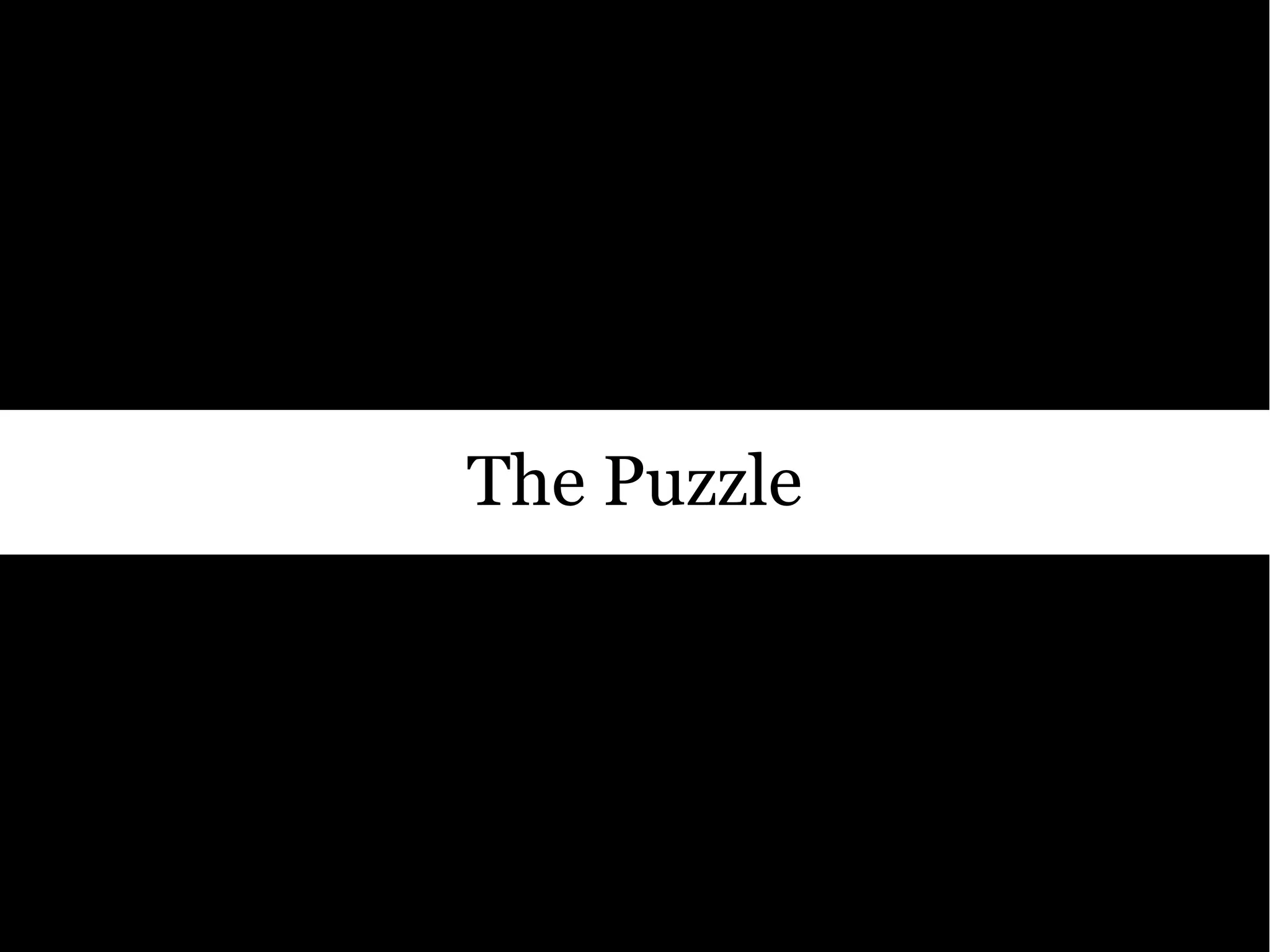 The Puzzle
 