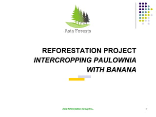 REFORESTATION PROJECT INTERCROPPING PAULOWNIA WITH BANANA Asia Reforestation Group Inc,. 