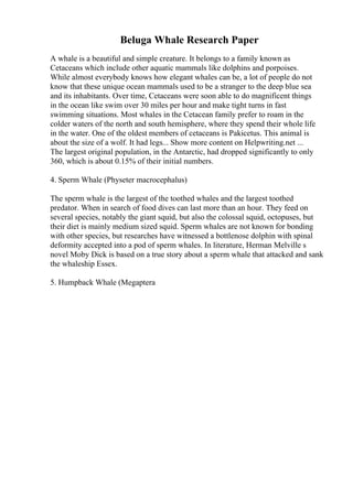 Beluga Whale Research Paper
A whale is a beautiful and simple creature. It belongs to a family known as
Cetaceans which include other aquatic mammals like dolphins and porpoises.
While almost everybody knows how elegant whales can be, a lot of people do not
know that these unique ocean mammals used to be a stranger to the deep blue sea
and its inhabitants. Over time, Cetaceans were soon able to do magnificent things
in the ocean like swim over 30 miles per hour and make tight turns in fast
swimming situations. Most whales in the Cetacean family prefer to roam in the
colder waters of the north and south hemisphere, where they spend their whole life
in the water. One of the oldest members of cetaceans is Pakicetus. This animal is
about the size of a wolf. It had legs... Show more content on Helpwriting.net ...
The largest original population, in the Antarctic, had dropped significantly to only
360, which is about 0.15% of their initial numbers.
4. Sperm Whale (Physeter macrocephalus)
The sperm whale is the largest of the toothed whales and the largest toothed
predator. When in search of food dives can last more than an hour. They feed on
several species, notably the giant squid, but also the colossal squid, octopuses, but
their diet is mainly medium sized squid. Sperm whales are not known for bonding
with other species, but researches have witnessed a bottlenose dolphin with spinal
deformity accepted into a pod of sperm whales. In literature, Herman Melville s
novel Moby Dick is based on a true story about a sperm whale that attacked and sank
the whaleship Essex.
5. Humpback Whale (Megaptera
 