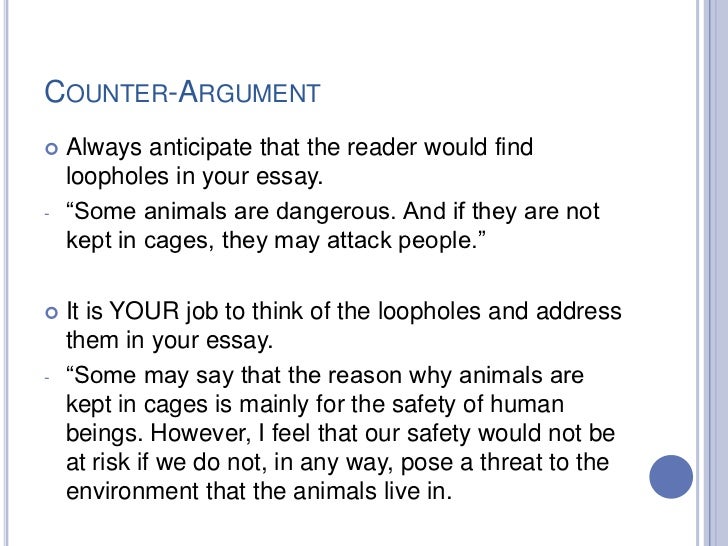 Counter argument essay