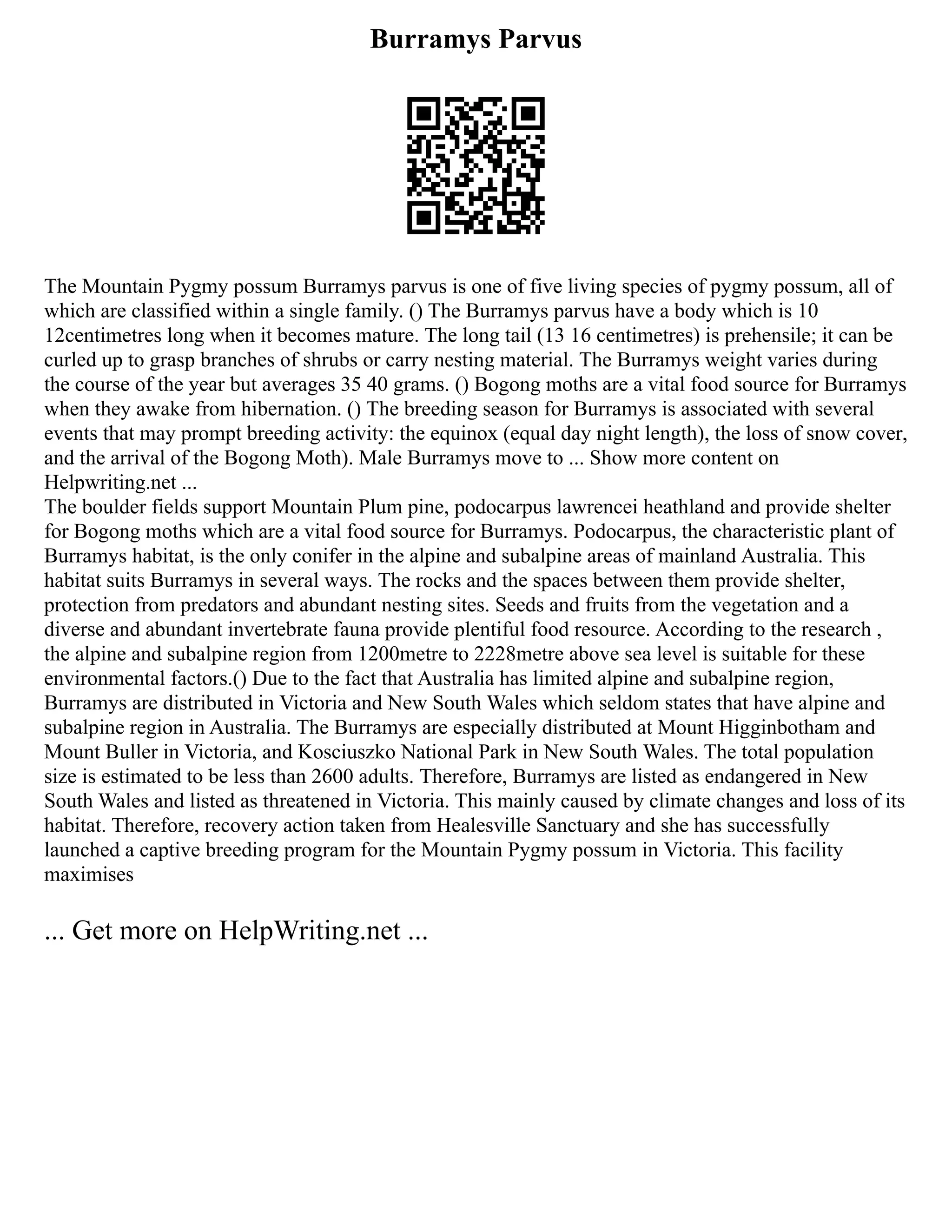 Burramys Parvus
The Mountain Pygmy possum Burramys parvus is one of five living species of pygmy possum, all of
which are classified within a single family. () The Burramys parvus have a body which is 10
12centimetres long when it becomes mature. The long tail (13 16 centimetres) is prehensile; it can be
curled up to grasp branches of shrubs or carry nesting material. The Burramys weight varies during
the course of the year but averages 35 40 grams. () Bogong moths are a vital food source for Burramys
when they awake from hibernation. () The breeding season for Burramys is associated with several
events that may prompt breeding activity: the equinox (equal day night length), the loss of snow cover,
and the arrival of the Bogong Moth). Male Burramys move to ... Show more content on
Helpwriting.net ...
The boulder fields support Mountain Plum pine, podocarpus lawrencei heathland and provide shelter
for Bogong moths which are a vital food source for Burramys. Podocarpus, the characteristic plant of
Burramys habitat, is the only conifer in the alpine and subalpine areas of mainland Australia. This
habitat suits Burramys in several ways. The rocks and the spaces between them provide shelter,
protection from predators and abundant nesting sites. Seeds and fruits from the vegetation and a
diverse and abundant invertebrate fauna provide plentiful food resource. According to the research ,
the alpine and subalpine region from 1200metre to 2228metre above sea level is suitable for these
environmental factors.() Due to the fact that Australia has limited alpine and subalpine region,
Burramys are distributed in Victoria and New South Wales which seldom states that have alpine and
subalpine region in Australia. The Burramys are especially distributed at Mount Higginbotham and
Mount Buller in Victoria, and Kosciuszko National Park in New South Wales. The total population
size is estimated to be less than 2600 adults. Therefore, Burramys are listed as endangered in New
South Wales and listed as threatened in Victoria. This mainly caused by climate changes and loss of its
habitat. Therefore, recovery action taken from Healesville Sanctuary and she has successfully
launched a captive breeding program for the Mountain Pygmy possum in Victoria. This facility
maximises
... Get more on HelpWriting.net ...
 