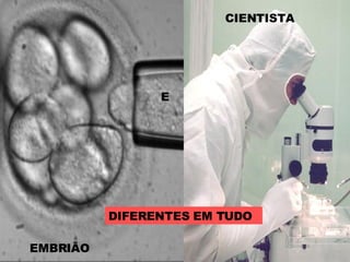 DIFERENTES EM TUDO EMBRIÃO E CIENTISTA 
