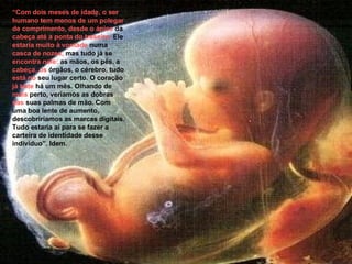 “ Com dois meses de idade, o ser humano tem menos de um polegar de comprimento, desde o ápice  da  cabeça até a ponta do traseiro.  Ele  estaria muito à   vontade  numa  casca de nozes,  mas tudo já se  encontra nele:  as mãos, os pés, a  cabeça, os  órgãos, o cérebro, tudo  está no  seu lugar certo. O coração  já bate  há um mês. Olhando de  mais  perto, veríamos as dobras  das  suas palmas de mão. Com uma boa lente de aumento, descobriríamos as marcas digitais. Tudo estaria aí para se fazer a carteira de identidade desse indivíduo”. Idem. 