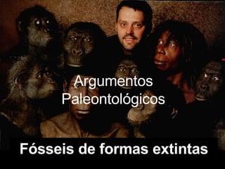 Argumentos Paleontológicos Fósseis de formas extintas 